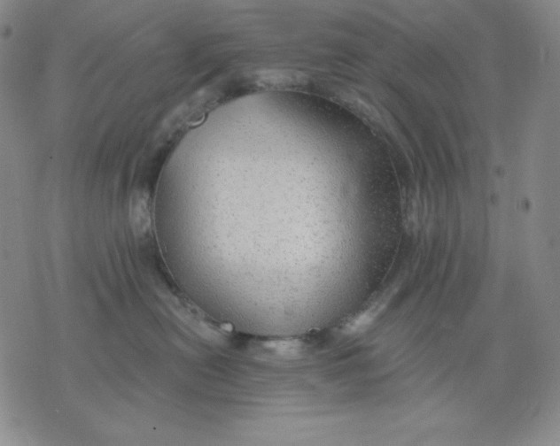 X0000076060478200610152207