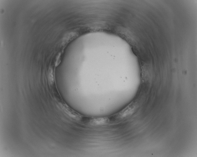 X0000076060479200610152207