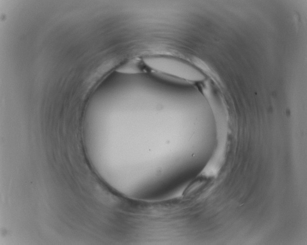 X0000076060481200610152206