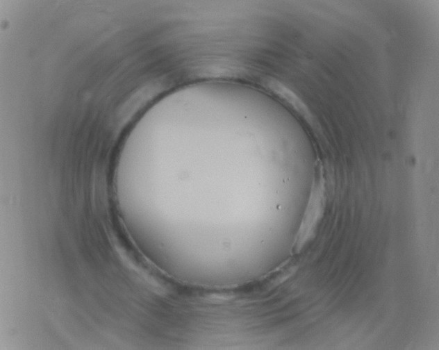 X0000076060482200610152206