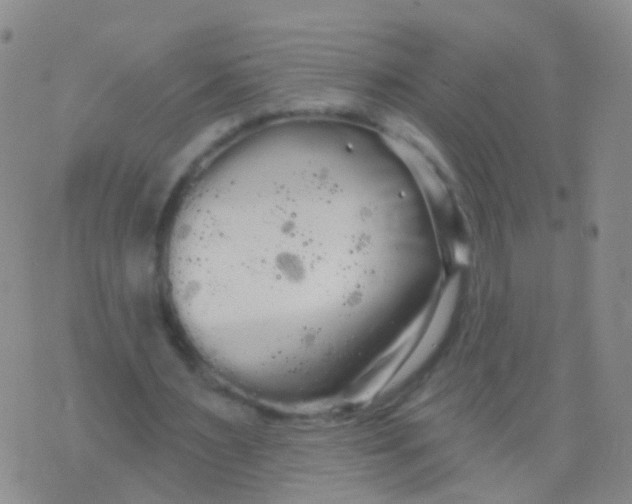 X0000076060483200610152206