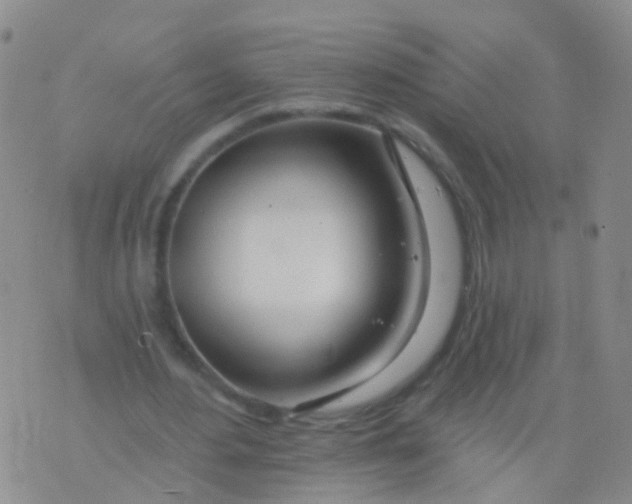 X0000076060484200610152206