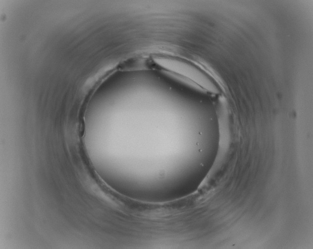 X0000076060485200610152206