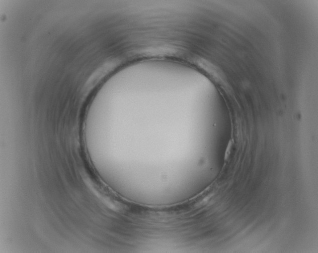 X0000076060486200610152206