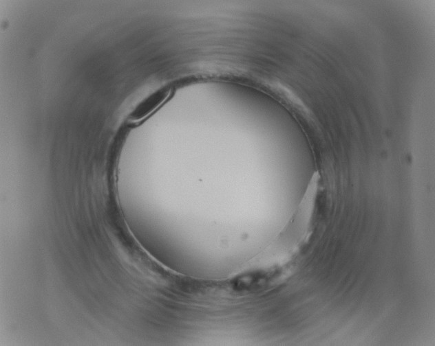 X0000076060488200610152206