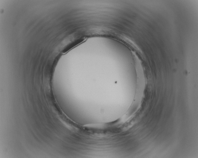 X0000076060489200610152206