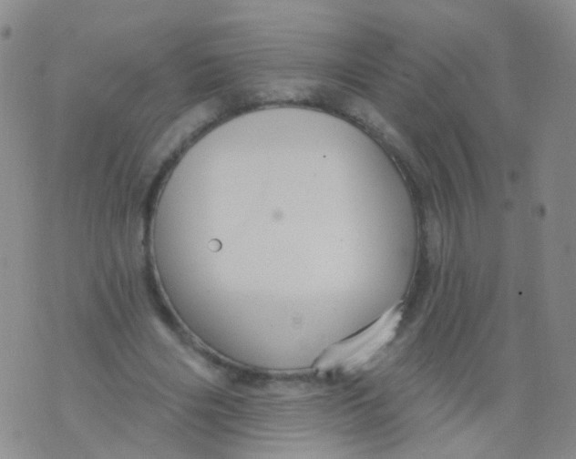 X0000076060490200610152206