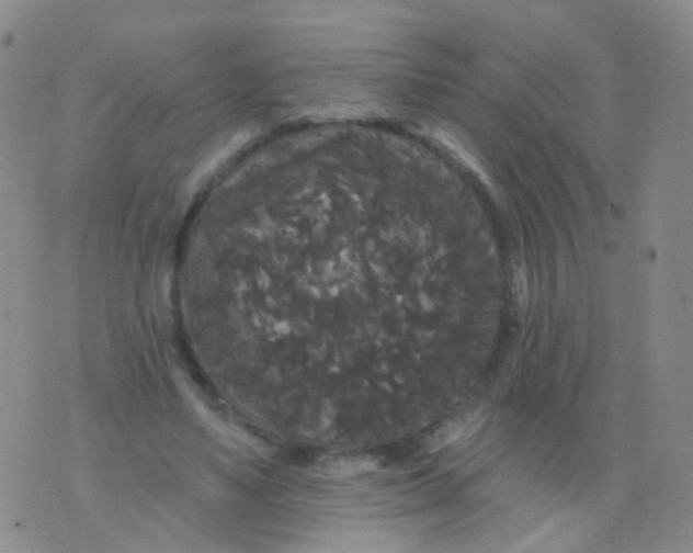 X0000076060491200610152206