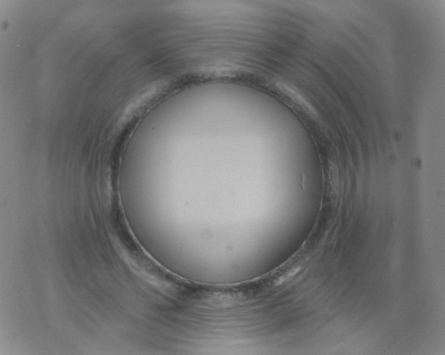 X0000076060494200610152206