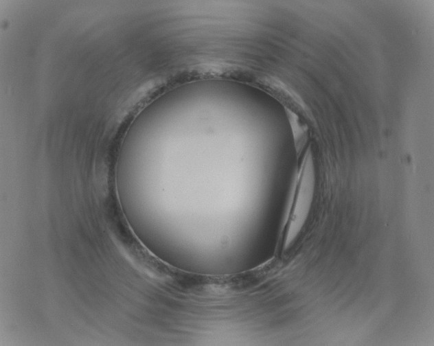 X0000076060496200610152206