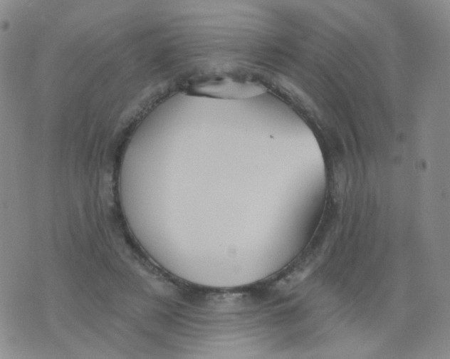 X0000076060497200610152206