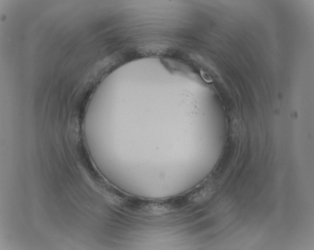 X0000076060498200610152206