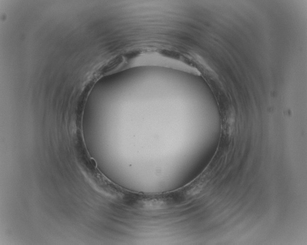 X0000076060500200610152206