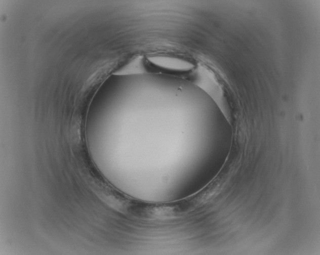 X0000076060501200610152206