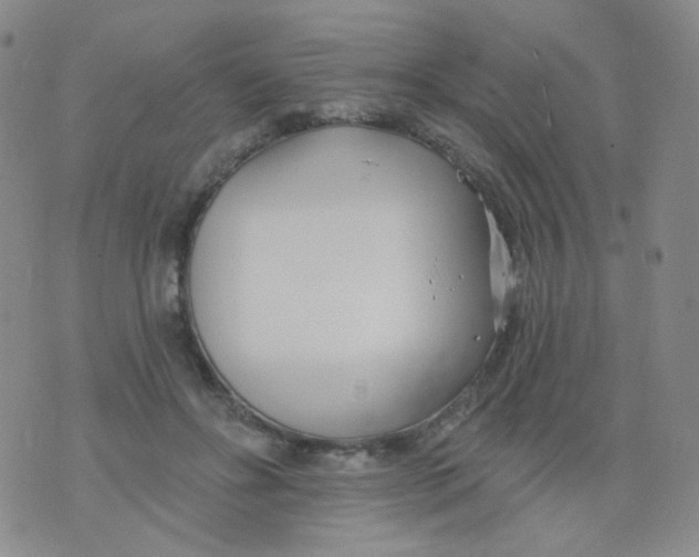 X0000076060502200610152206