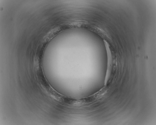 X0000076060504200610152206