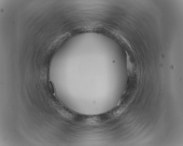 X0000076060505200610152206