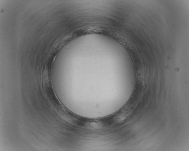 X0000076060506200610152206