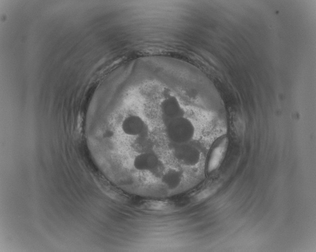 X0000076060507200610152206