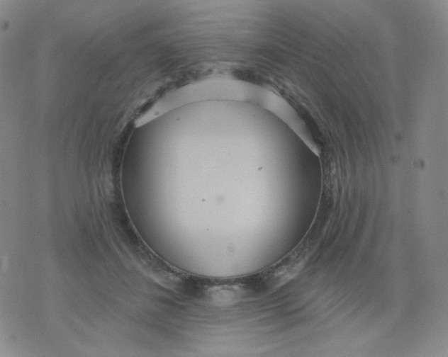 X0000076060508200610152206