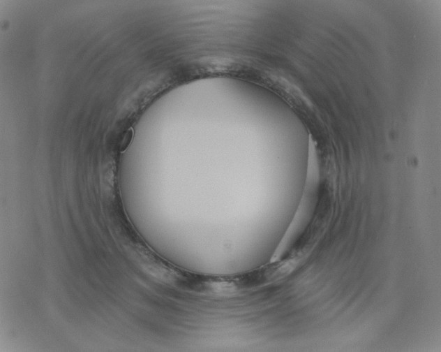 X0000076060509200610152206