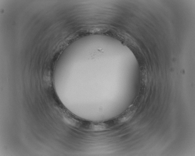 X0000076060510200610152206