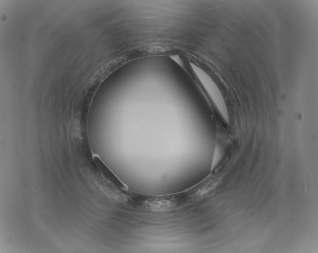 X0000076060512200610152206