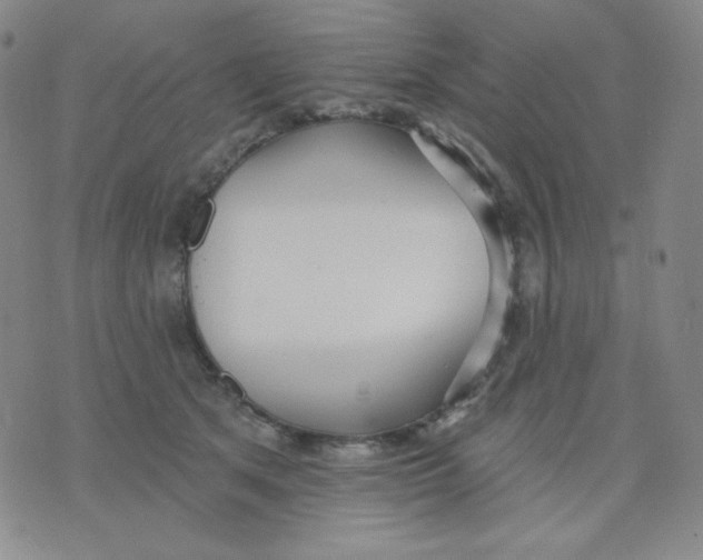 X0000076060513200610152206