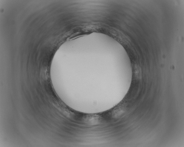 X0000076060514200610152206