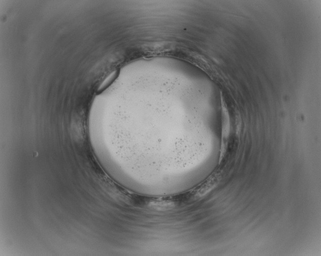 X0000076060515200610152206