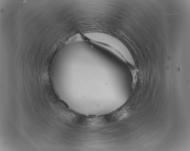 X0000076060516200610152206