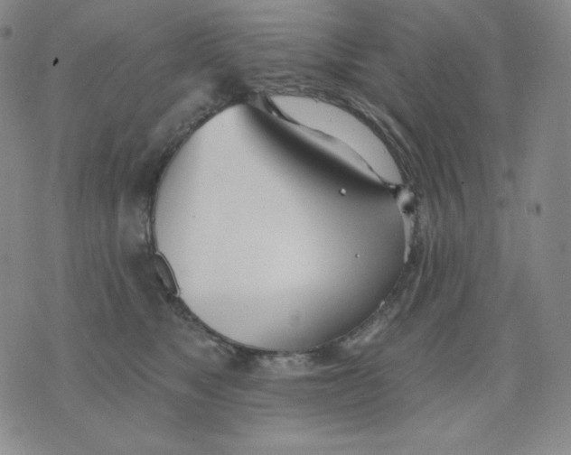 X0000076060517200610152206