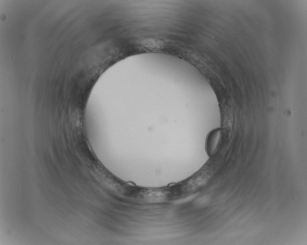 X0000076060518200610152206