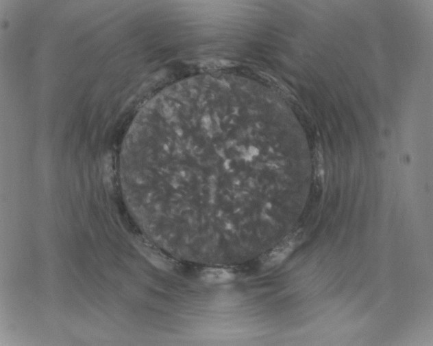 X0000076060519200610152206