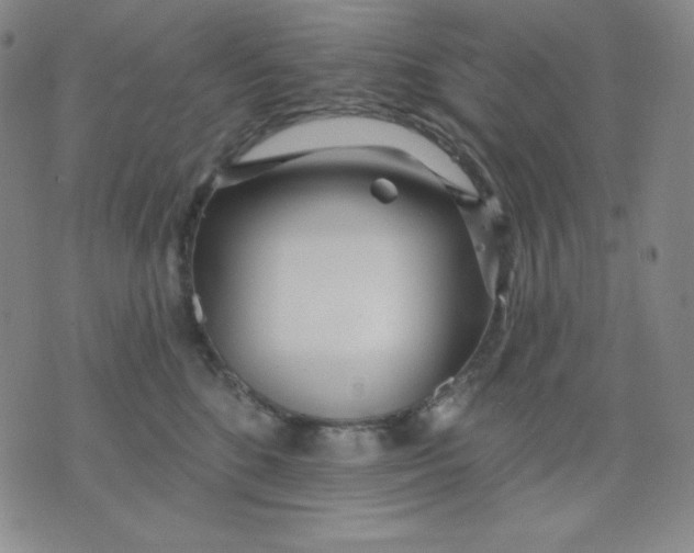 X0000076060520200610152205