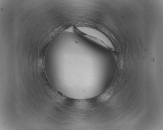 X0000076060521200610152205