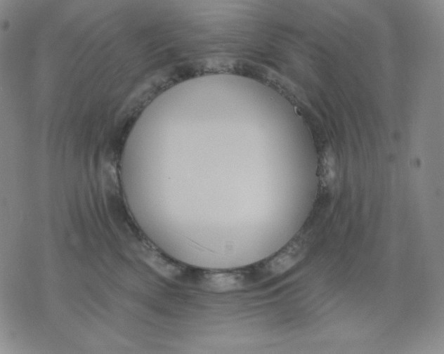 X0000076060522200610152205