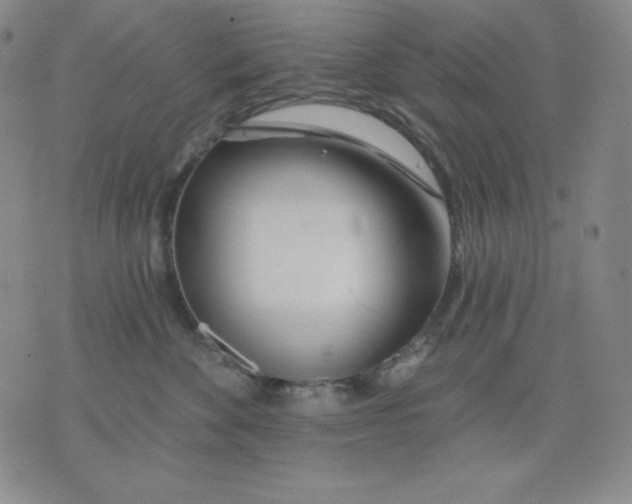 X0000076060524200610152205