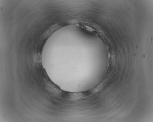 X0000076060525200610152205