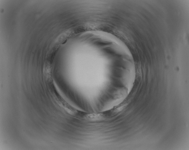 X0000076060526200610152205