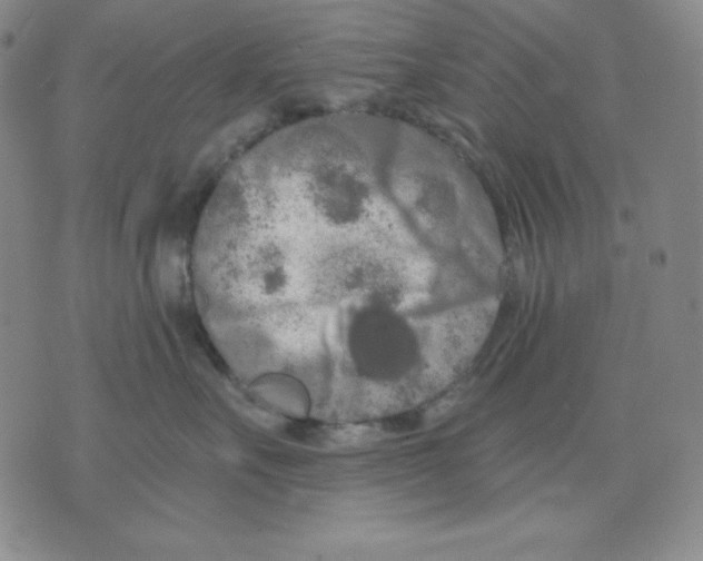 X0000076060527200610152205