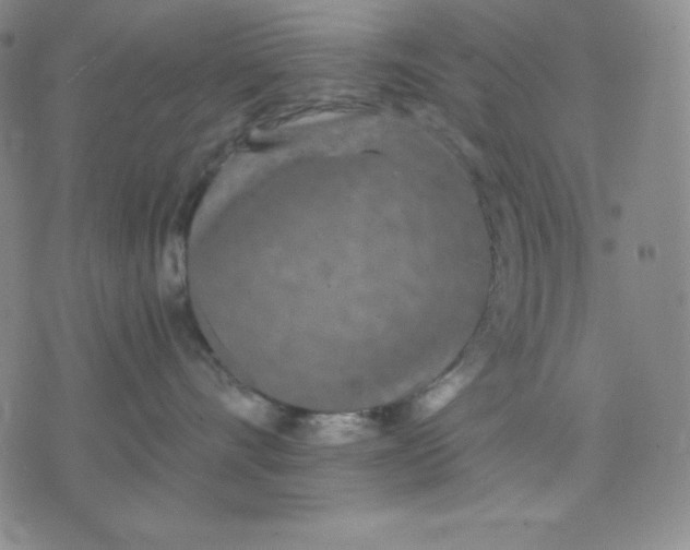 X0000076060528200610152205