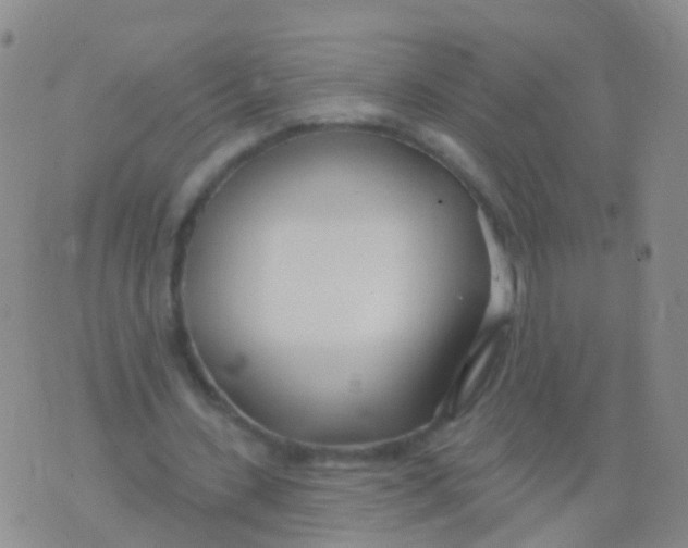 X0000076060531200610152205