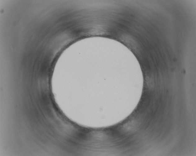 X0000076060534200610152205