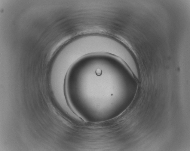 X0000076060535200610152205