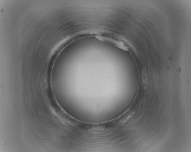 X0000076060536200610152205