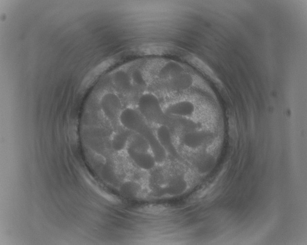 X0000076060537200610152205