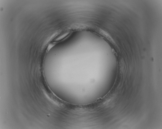 X0000076060538200610152205