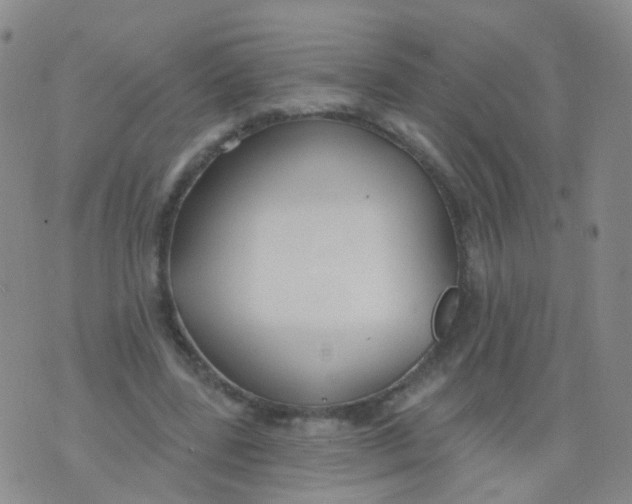 X0000076060539200610152205