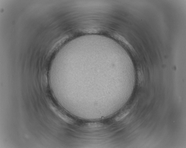 X0000076060541200610152205